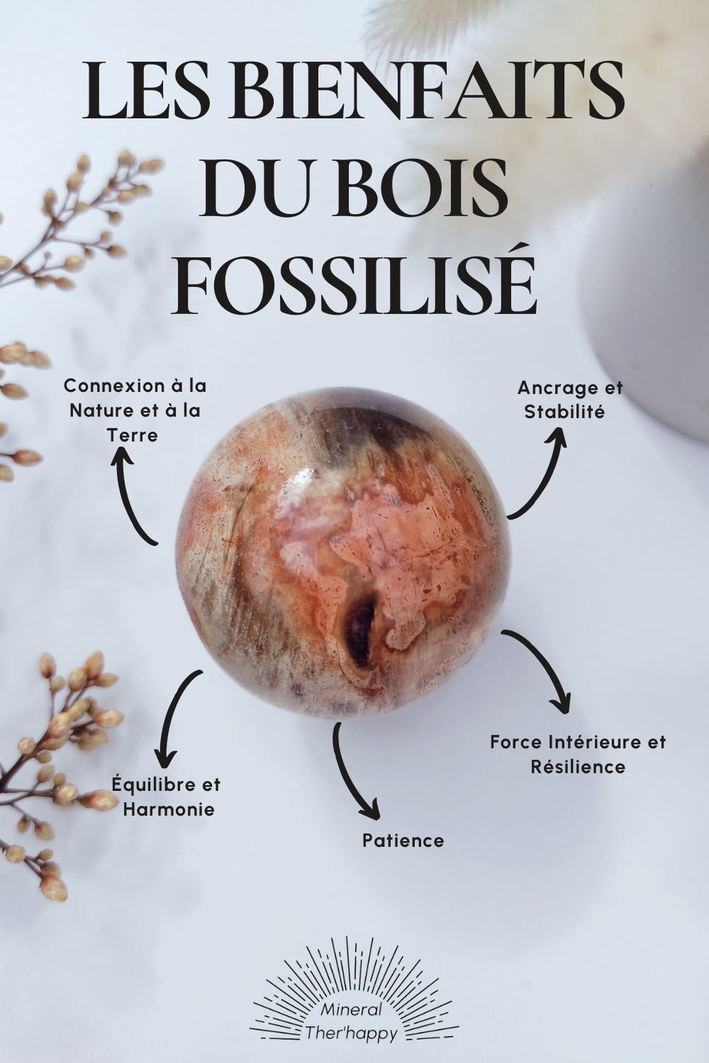 Bois fossilisé - Tranches