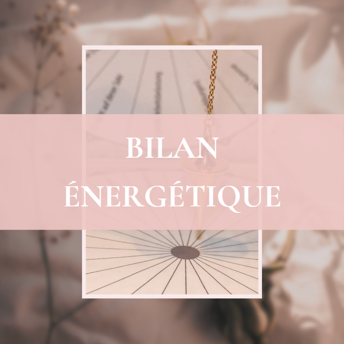 Bilan énergétique